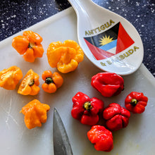 Antiguan Trail Sauce (Caribbean Mustard style, fruity-veg medley)